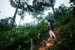 BIB: 
                            <button type="button" onclick="openModal(26203423)" class="btn btn-primary btn-sm float-right btn-popup" data-toggle="modal" data-target=".modal-high-quality">
                        <i class="fas fa-shopping-cart"></i> Add to Cart
                    </button>
                                            <button type="button" onclick="isThisMe(26203423, true)" class="btn btn-success btn-sm float-right btn-popup btn-isme hidden" data-toggle="tooltip" data-placement="bottom" title="นี่คือรูปของคุณใช่ไหม คลิกที่นี่เพื่อเอาเข้าอัลบั้ม">
                        <i class="fas fa-plus"></i> Add to album
                    </button>
                    <button type="button" onclick="isThisMe(26203423, false)" class="btn btn-warning btn-sm float-right btn-popup btn-isnotme hidden">
                        <i class="fas fa-ban"></i> Remove from album
                    </button>